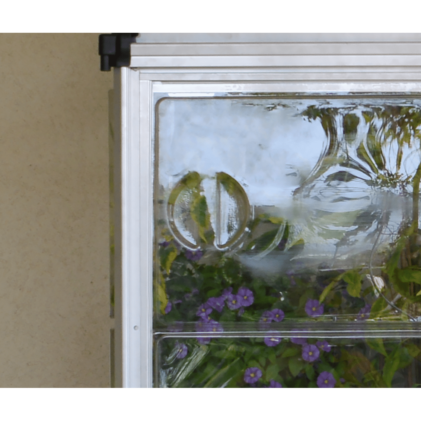 Greenhouses Lean To GrowHouse 4x2 4