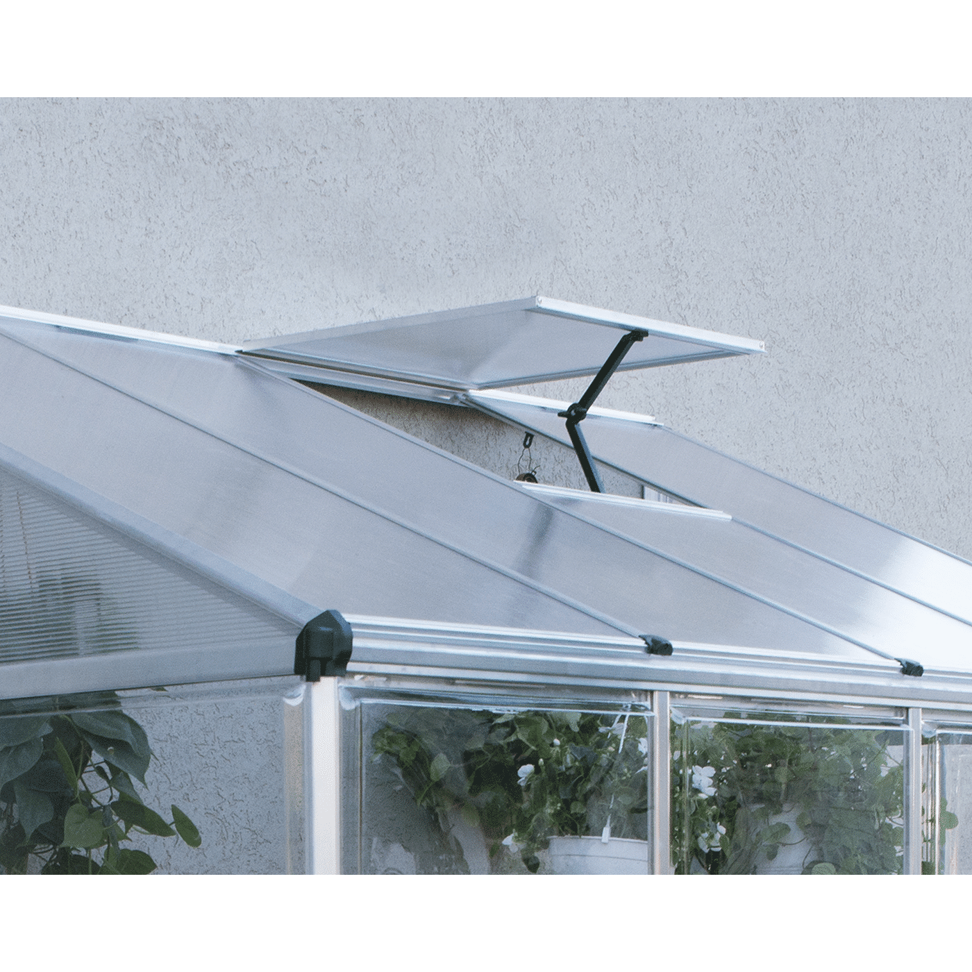 lean to 8x4 greenhouse 1