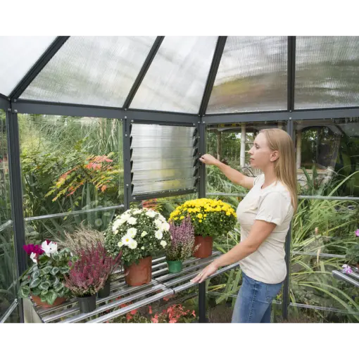 Oasis Hexagonal Greenhouse 4